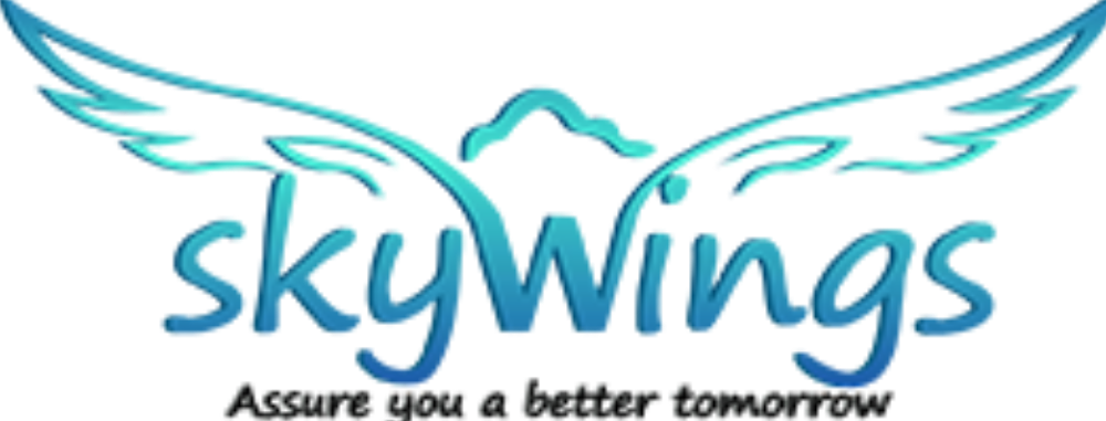 Skywings Advisors Private Limited